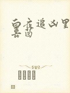 白夜追凶里的林嘉茵