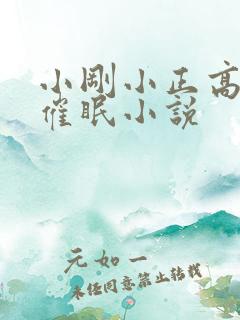 小刚小正高筱柔催眠小说