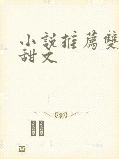 小说推荐双男主甜文