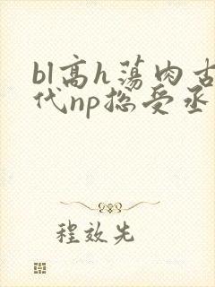 bl高h荡肉古代np总受丞相
