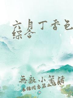 六月丁香色婷婷综合