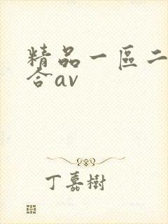 精品一区二区综合av