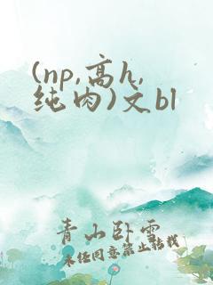 (np,高h,纯肉)文bl