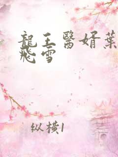 龙王医婿叶凡唐飞雪