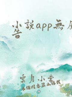 小说app无广告