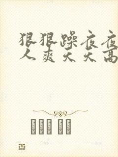 狠狠躁夜夜躁人人爽天天高潮