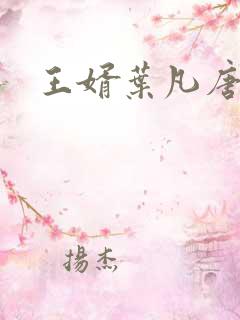 王婿叶凡唐若雪