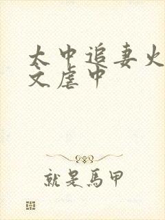 太中追妻火葬场文虐中