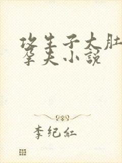 攻生子大肚多胎孕夫小说