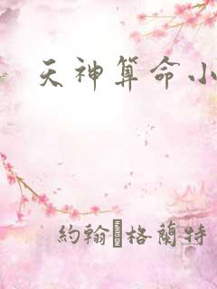 天神算命小说