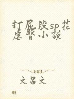 打屁股sp花式虐臀小说