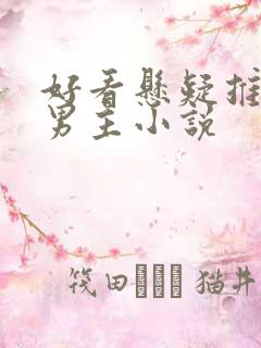 好看悬疑推理双男主小说