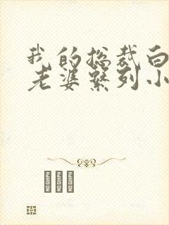 我的总裁白富美老婆系列小说