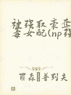 被强取豪夺的恶毒女配(np强制