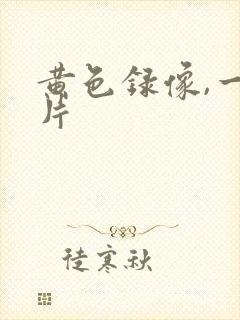 黄色录像,一级片