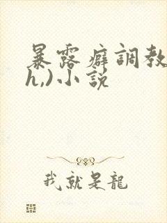 暴露癖调教(高h,)小说