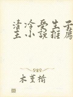 清冷受生子双男主小说推荐