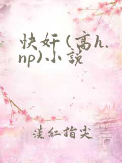 快奸 (高h.np)小说