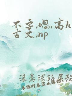 不要,嗯,高h古文,np