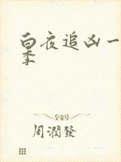 白夜追凶一共几季