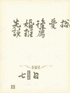 先婚后爱总裁小说推荐