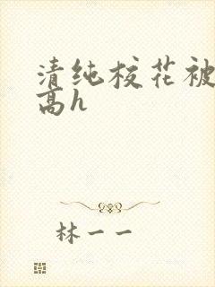 清纯校花被调教高h