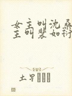 女主叫沈桑宁男主叫裴如衍的小说