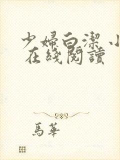 少妇白洁 小说 在线阅读