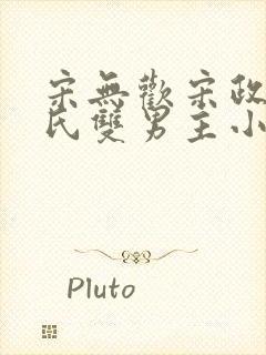 宋无欢宋政扬宋氏双男主小说推荐