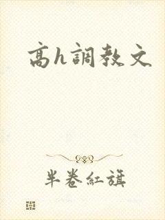 高h调教文