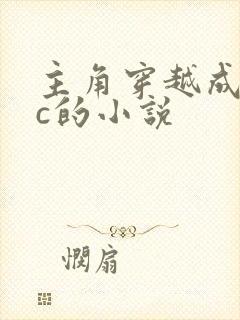 主角穿越成npc的小说