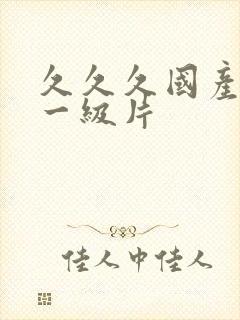 久久久国产精品一级片