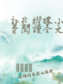 许我耀眼小说免费阅读全文最新章节