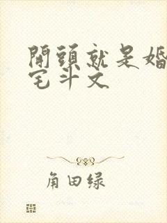 开头就是婚后的宅斗文