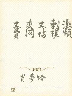 又爽又刺激的免费网站视频在线观看