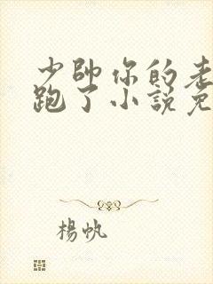 少帅你的老婆又跑了小说免费阅读