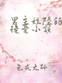 男主姓陆的先婚后爱小说