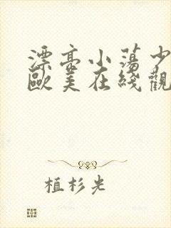 漂亮小荡少妇2欧美在线观看