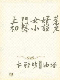 上门女婿叶辰萧初然小说免费阅读无弹窗