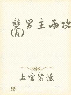 双男主两攻一受(h)