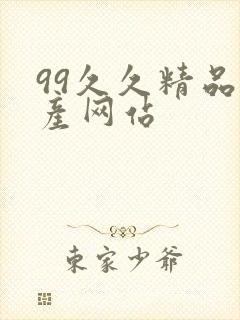 99久久精品国产网站