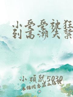 小受受被狂c躁到高潮失禁