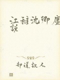 江稚沈卿尘的小说