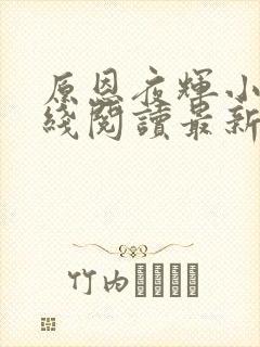 原恩夜辉小说在线阅读最新章节