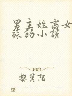男主姓商女主姓苏的小说