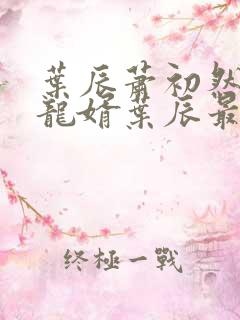 叶辰萧初然上门龙婿叶辰最新