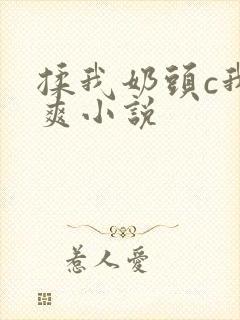 揉我奶头c我好爽小说