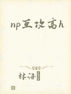 np互攻高h