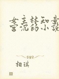 女主林知意男主宫沉的小说