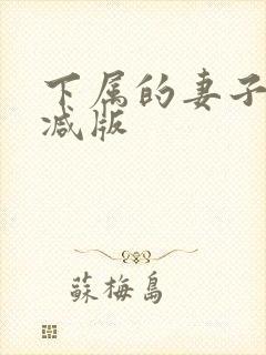 下属的妻子未删减版